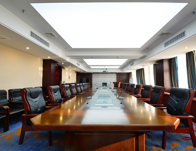 Xinjiang Party and Government Video Conference System
